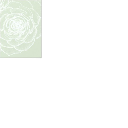 blank succulents outline wedding paper invitation 256629066659352004