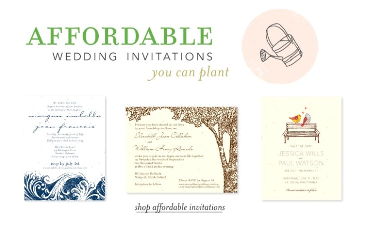 inexpensive seeded wedding invitations good plantable weddi