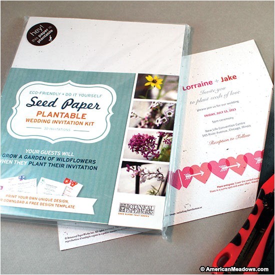 do it yourself seed wedding invitation kit