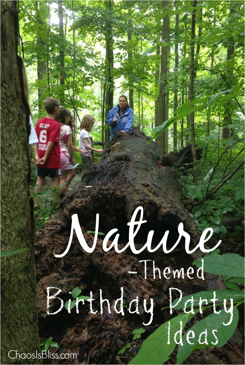 nature themed birthday party