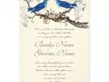 Bluebird Wedding Invitations 117 Best Images About Love Birds Wedding Invitations