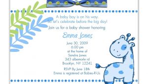 Language for Baby Shower Invitation Baby Shower Invitation Baby Shower Invitation Wording